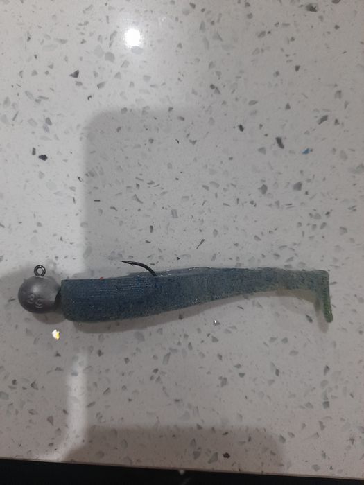 Vinil pesca novos