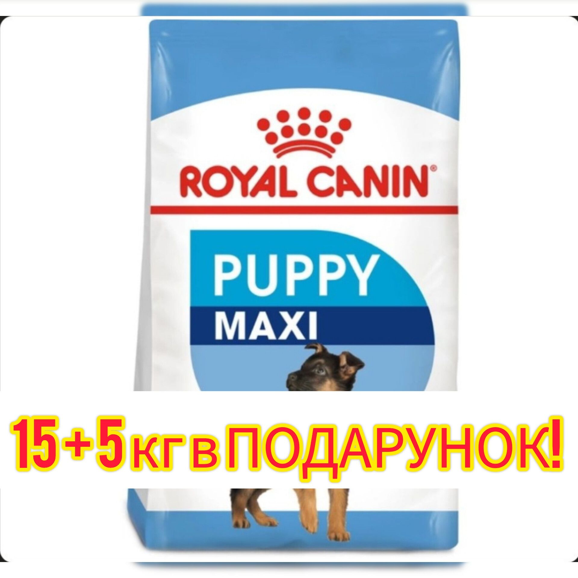 Корм 15+5 кг, для цуценят великих порід Royal Canin Maxi Puppy СВІЖИЙ!