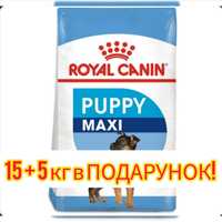 Корм 15+5 кг, для цуценят великих порід Royal Canin Maxi Puppy СВІЖИЙ!