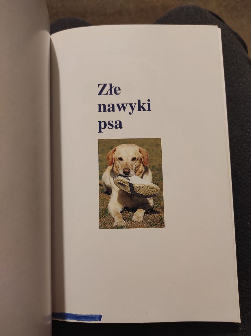 Złe nawyki psa książka