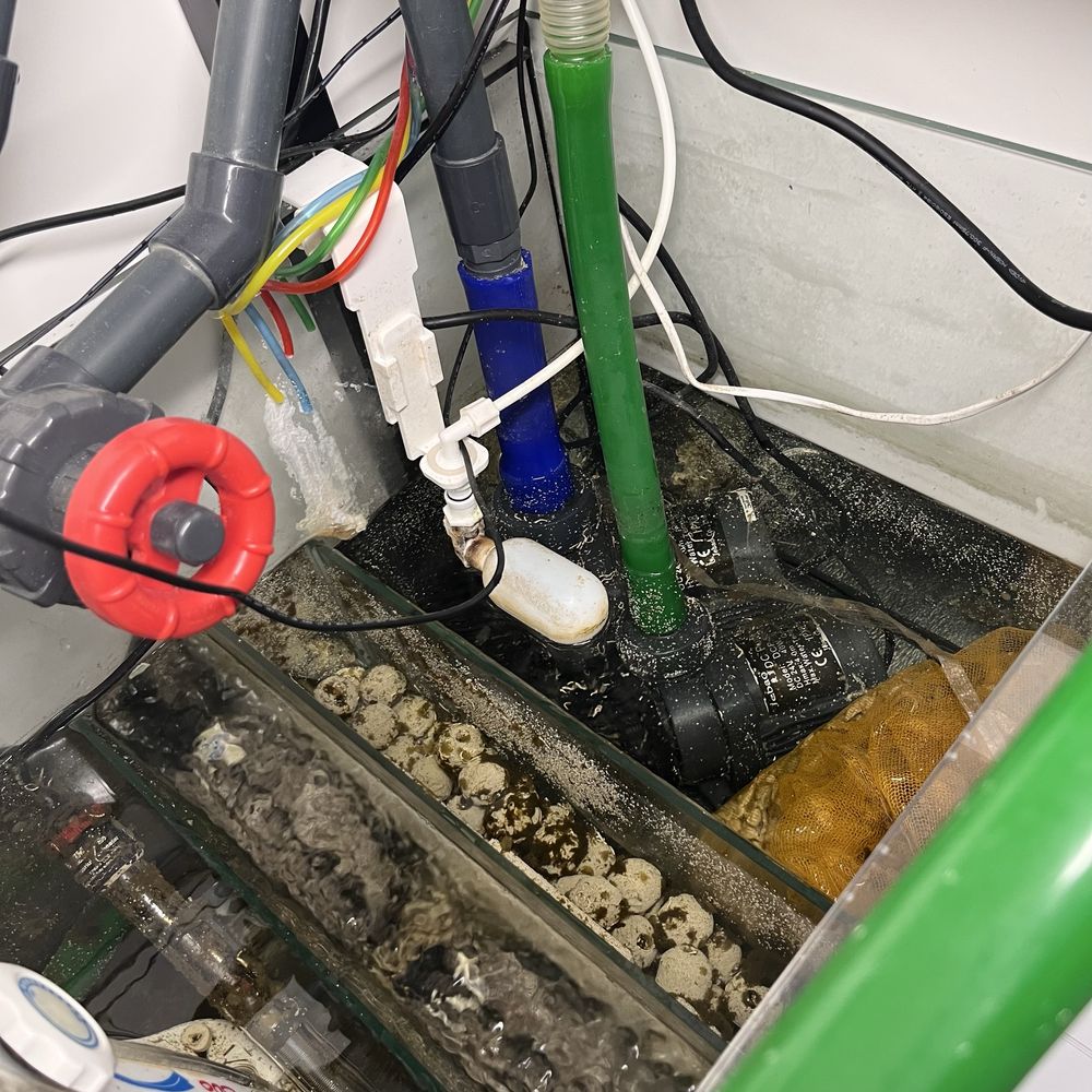 Akwarium Morskie 560L - Komplet z pełnym osprzętem. Maxspect itp.