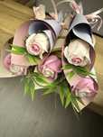 Pojedyncze roze