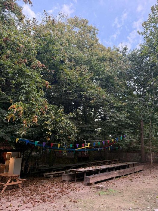 Espaço para Festas- Bosque do Choupal