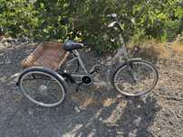 Triciclo adulto