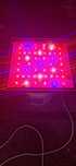 Lampa led do uprawy roślin profesjonalna  Plantphotonics amethyst ds51