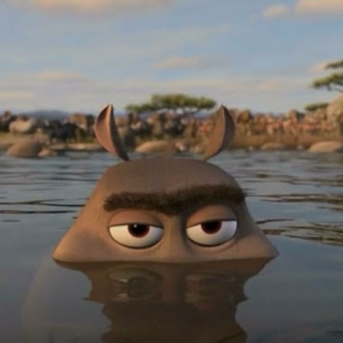 Zabawka dla kamili rozmiar L