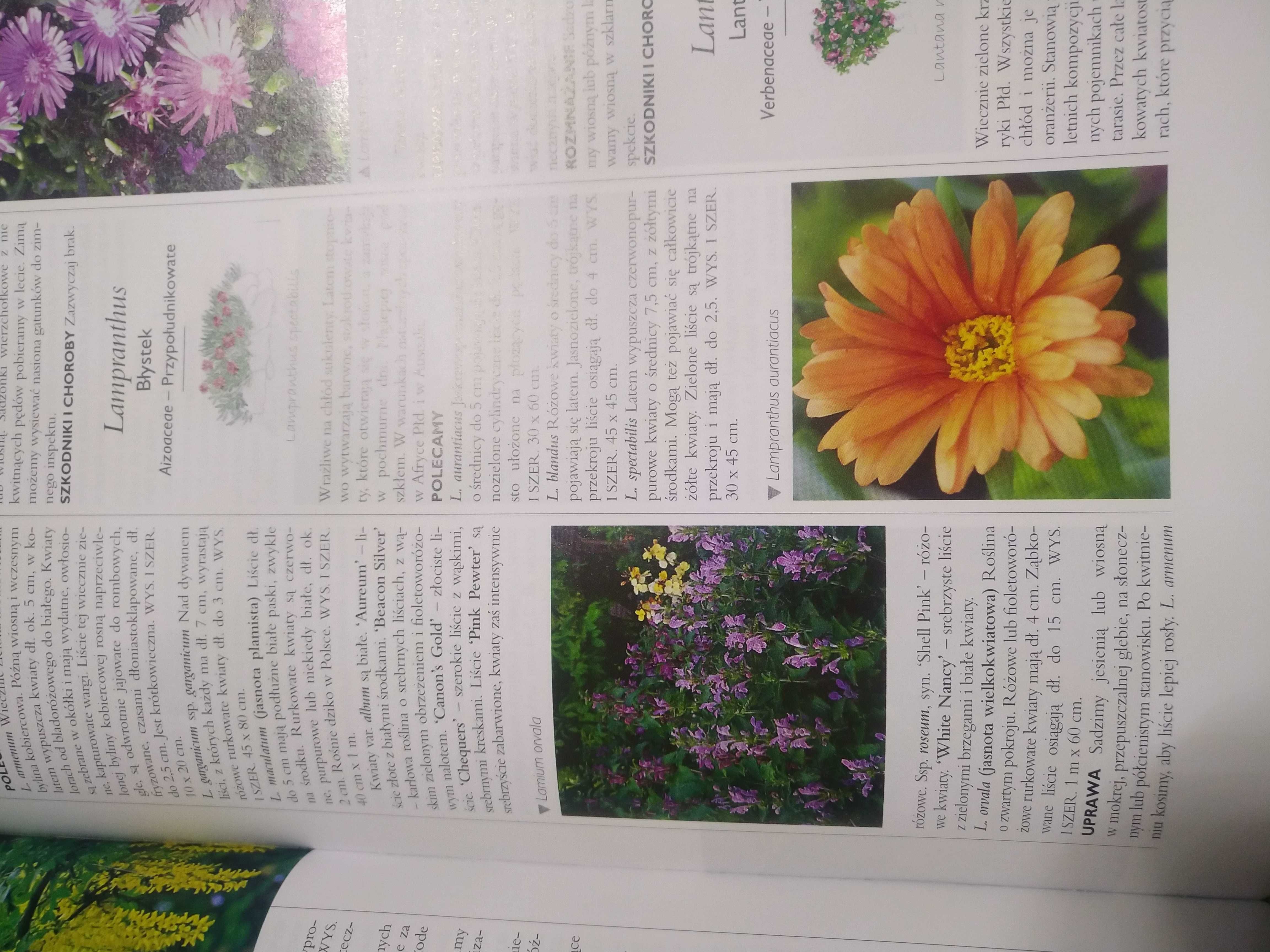 Wielka ilustrowana encyklopedia roślin ogrodowych