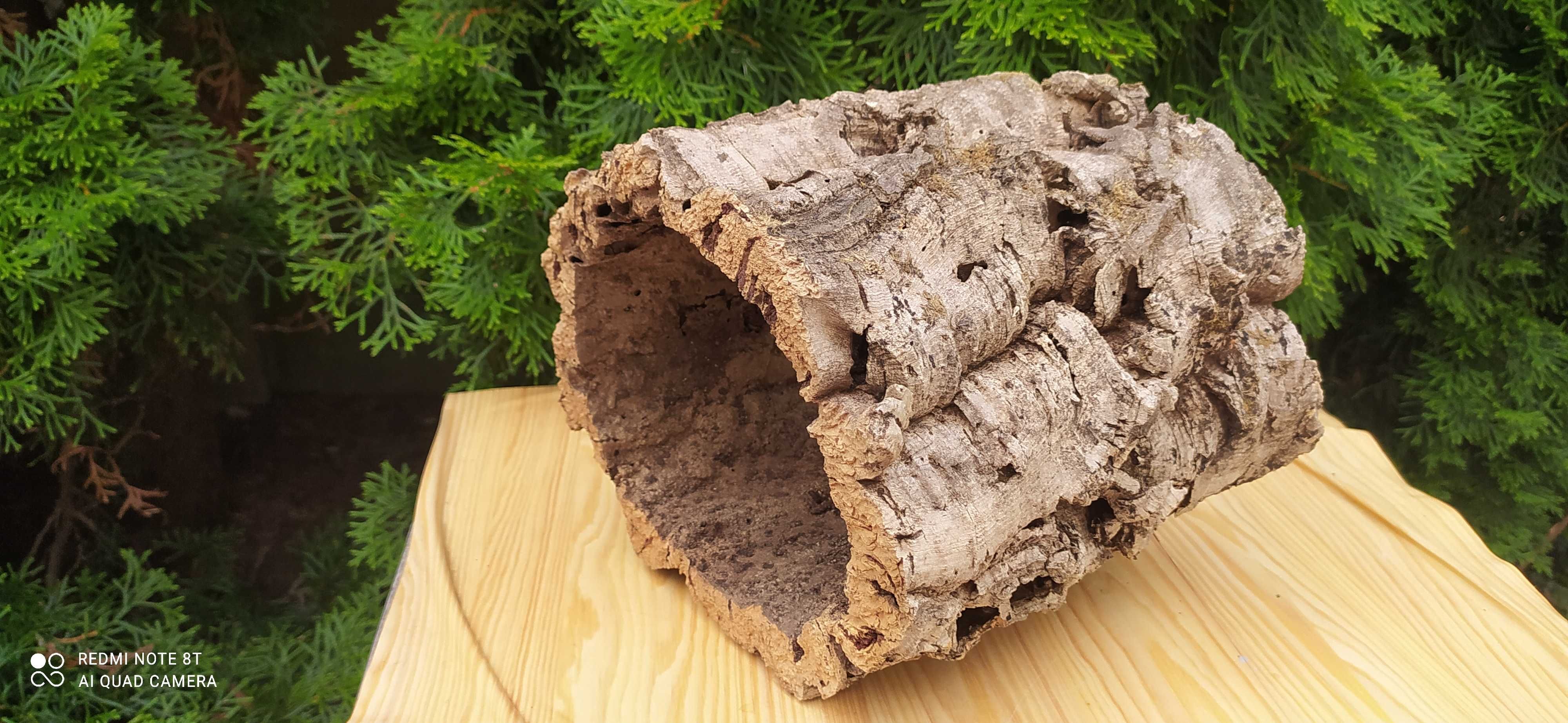 Grota z debu korkowego do akwarium-21 cm