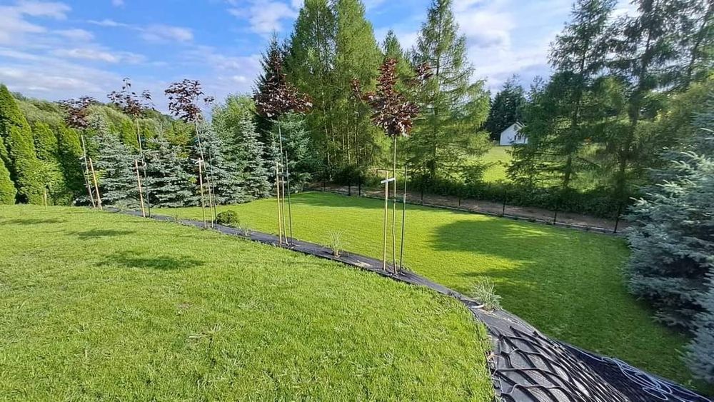 Usługi ogrodnicze miniładowarka wycinka drzew ogrodnik pielęgnacja