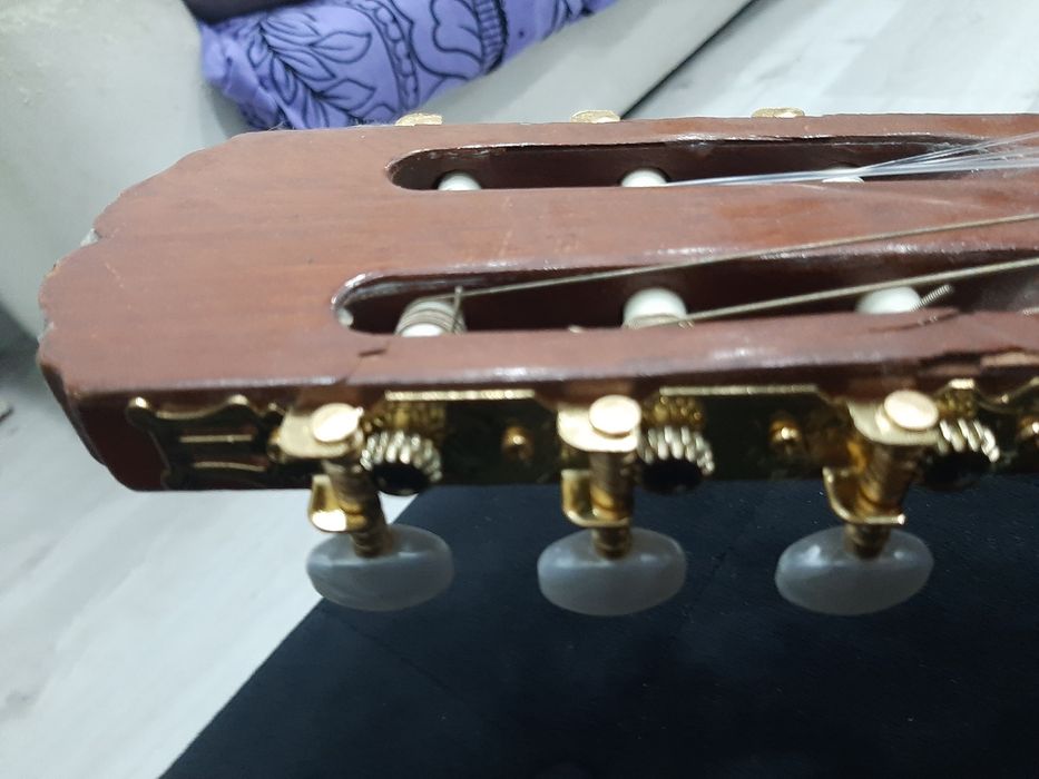 Viola Admira Sónia Espanhola