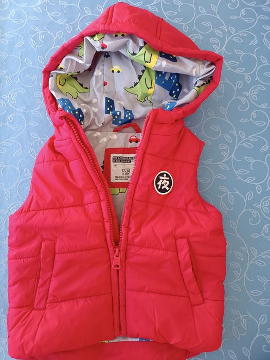 Colete dinossauro menino