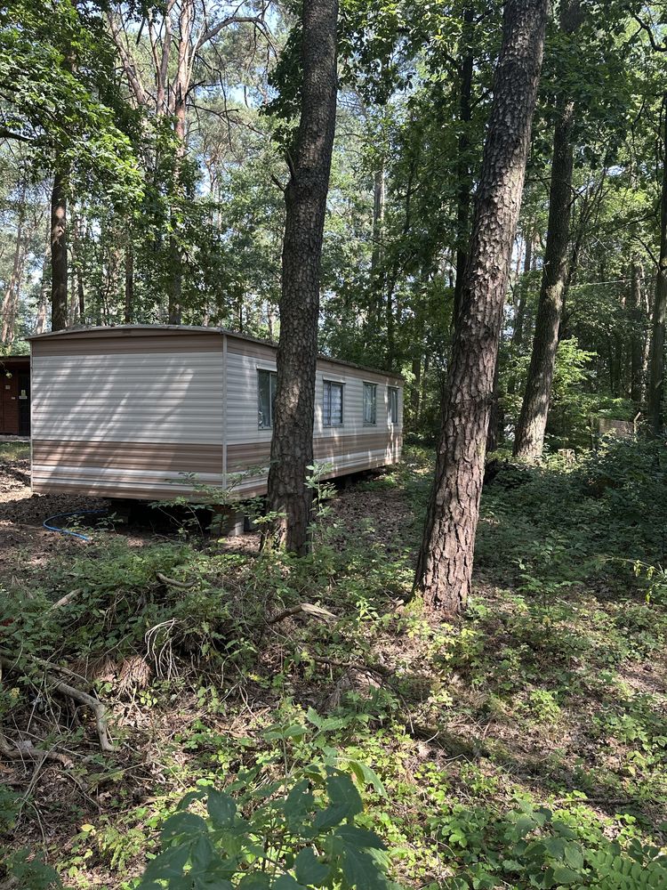 Sprzedam domek nad jeziorem – 28m², w lesie , blisko Poznania, Skoki