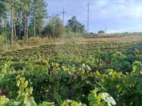 Terreno  para venda