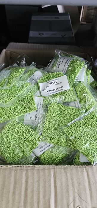 Бісер Preciosa від прямого постачальника з Чехії