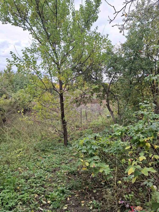 Продаж будинку Нові Безрадичі,вул.Жовтнева.Київська обл,15 км до Києва