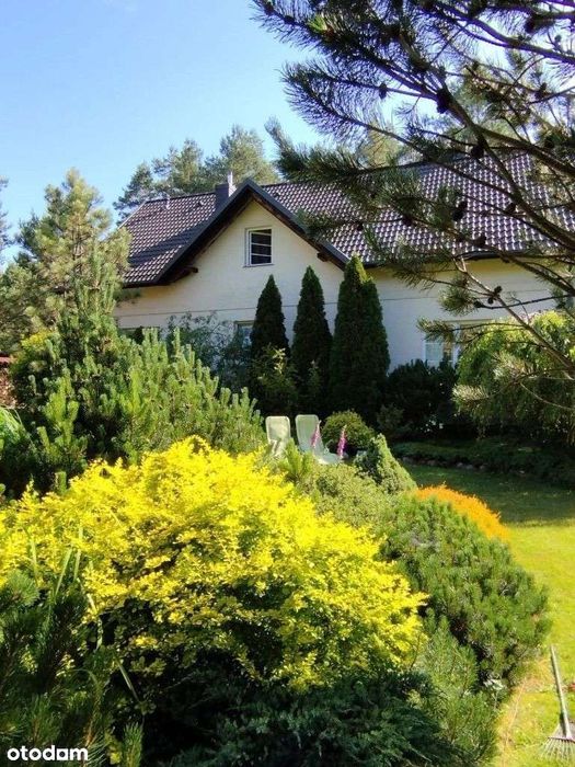 Dom z ogrodem i domkiem letnim, las, jezioro