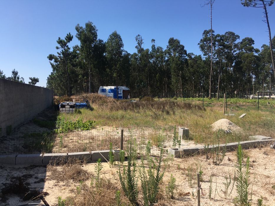 Terreno  Vieira Leiria
