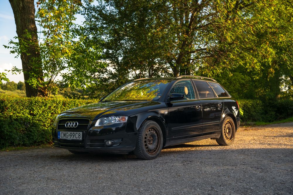 Audi a4 b7 2.0 tdi