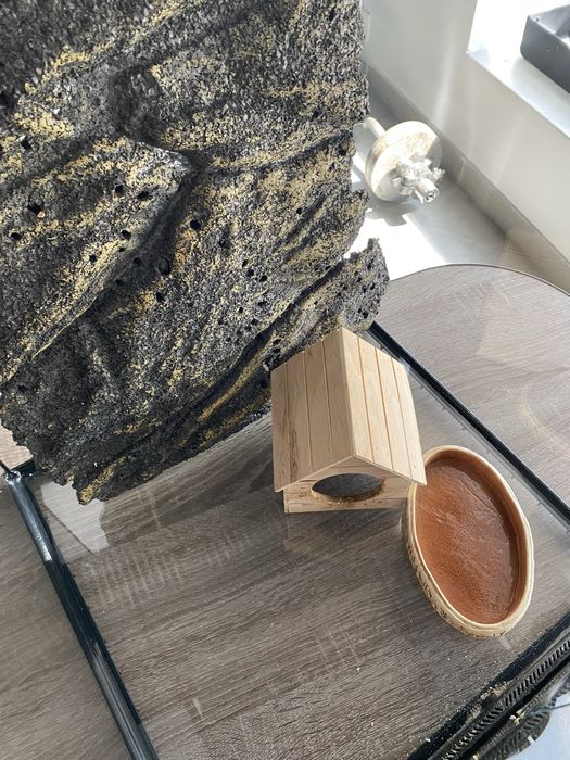 Терариум для животных