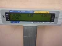 Вага Digi SM 300 з друком