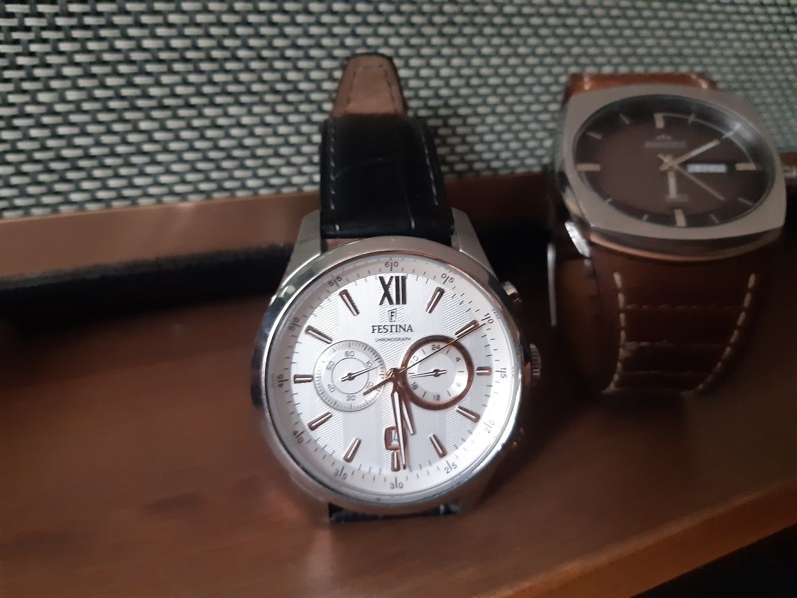 Zegarek Męski FESTINA F16996