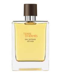 Hermes Terre D Hermes Eau Intense Vetiver Edp 100ml. UNBOX