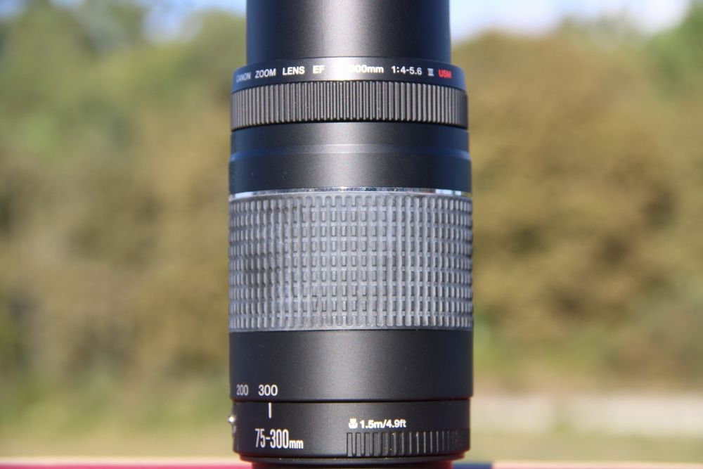 Canon EF 75-300mm F/4-5.6 III USM