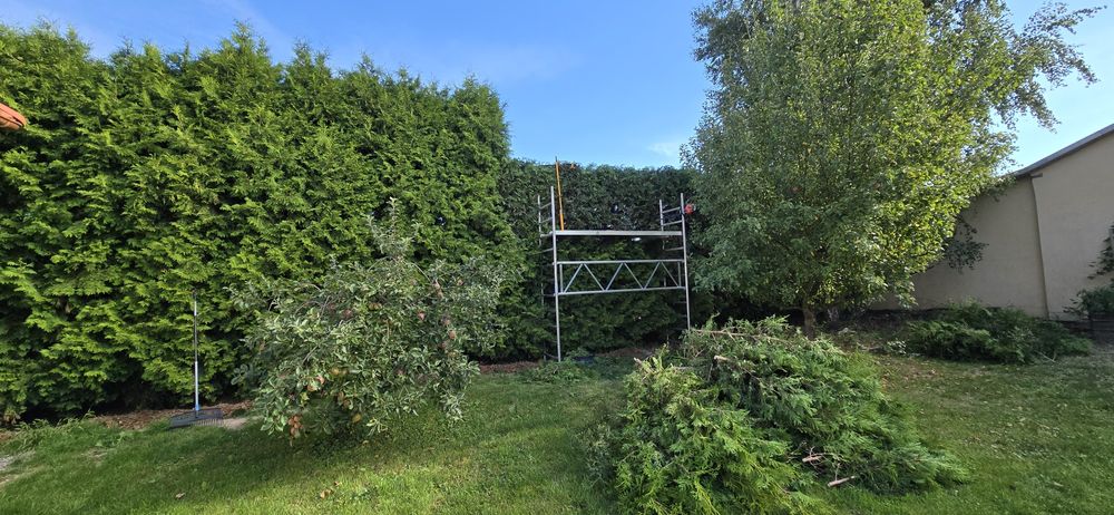 Usługi Ogrodnicze Wycinka Drzew Skracanie tui Koszenie Wertykulacja