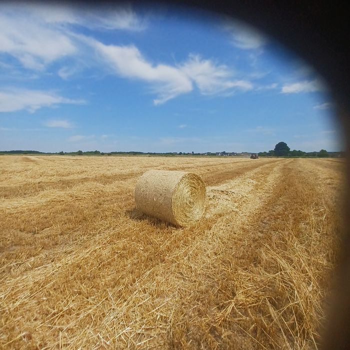 Słoma ,dowozimy po 10 sztuk