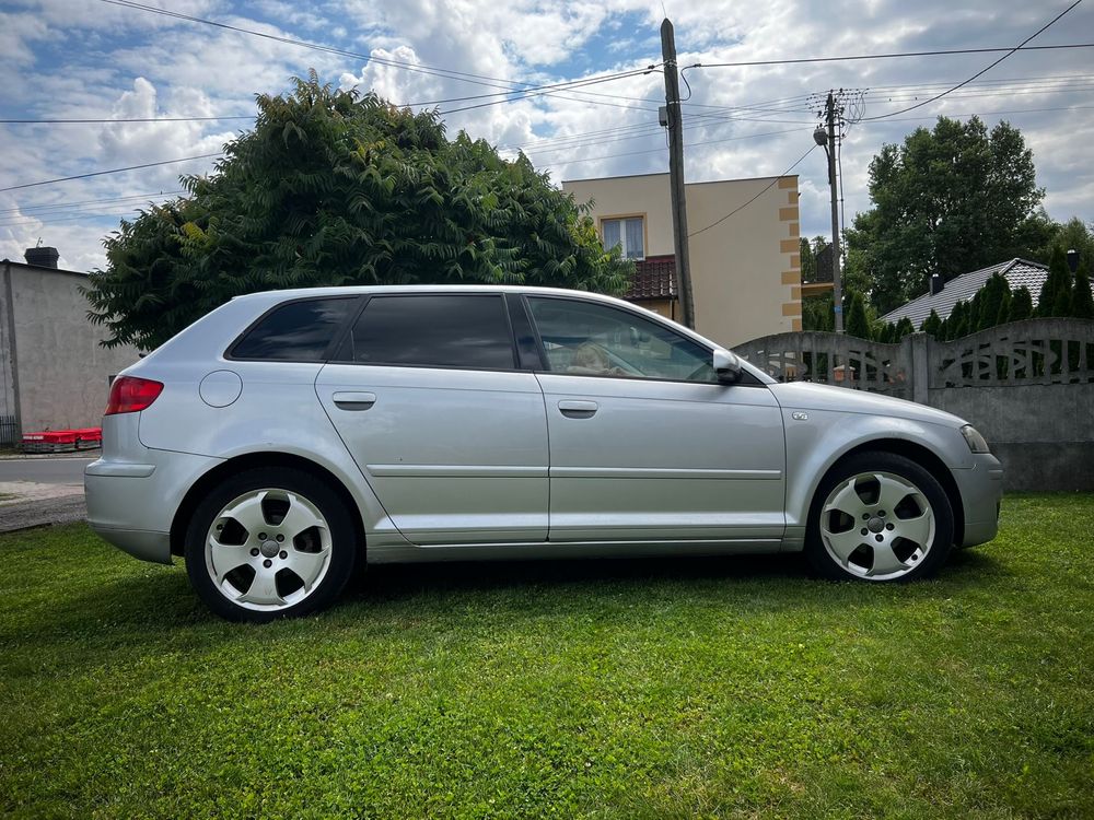 Audi a3 8p 1.9 TDI