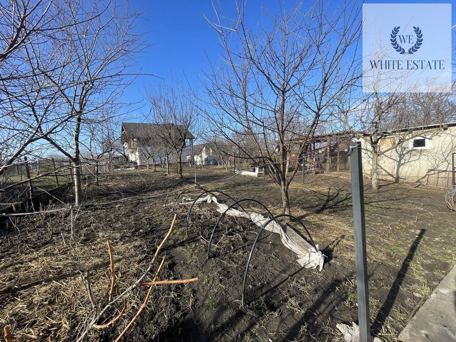 Продаж в с. Гаї Шевченківські