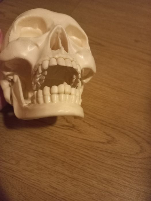 Conjunto material didático