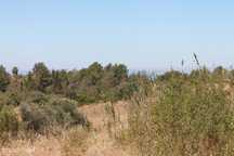 Terreno de Estombar com projeto para Turismo Rural