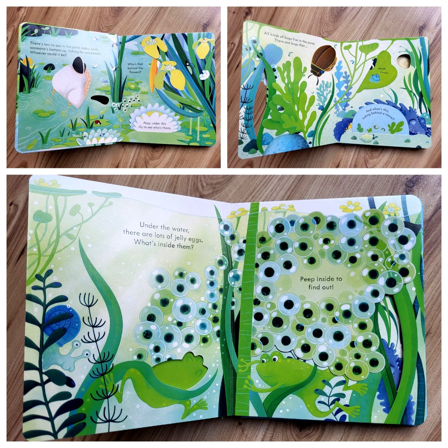 The Pond Usborne Peep Inside z okienkami po angielsku