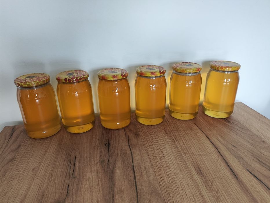 Miód fasolowy i rzepakowy PROMOCJA