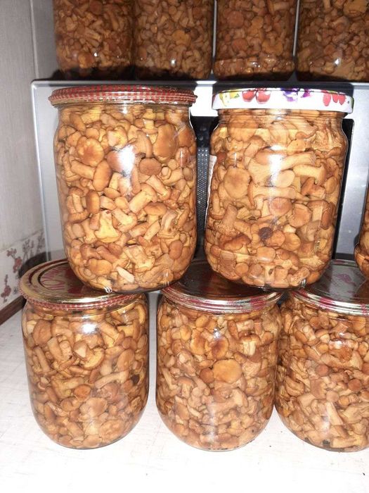 Гриби мариновані лисички