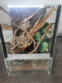 Terrarium dla gekona, modliszki pająka 30x20x20