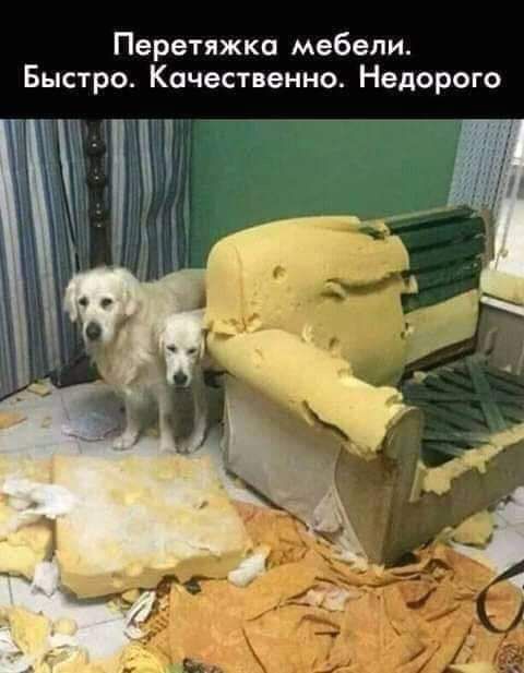 Ремонт і перетяжка м‘ягких меблів