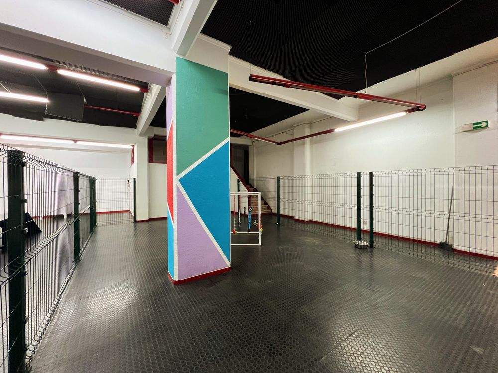 Vende-se Creche Canina em pelo crescimento | Lisboa Central