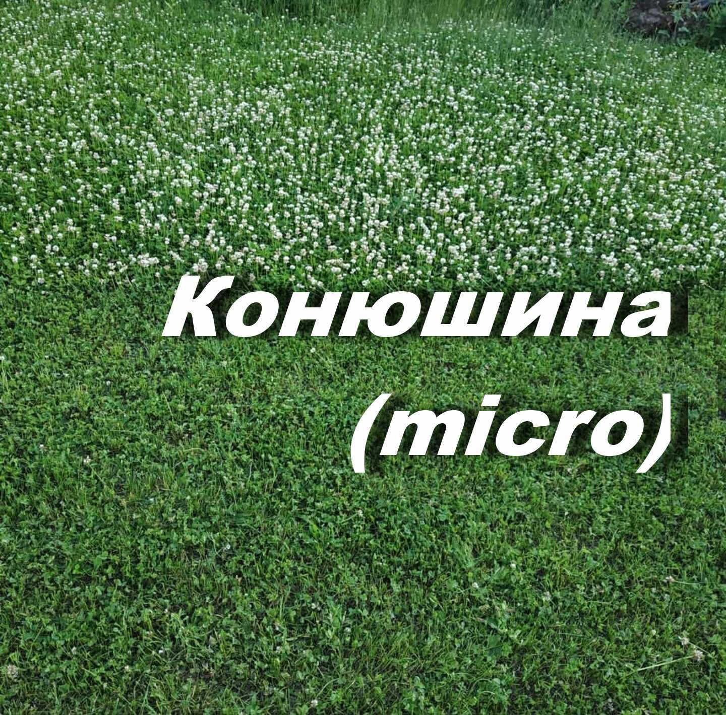 КЛЕВЕР лилипут Ривендел micro 100% многолетний газон с цветами семена