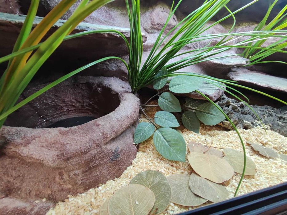 Terrarium tropikalne nr773 100/40/40 dla węża boa pyton DOSTĘPNE