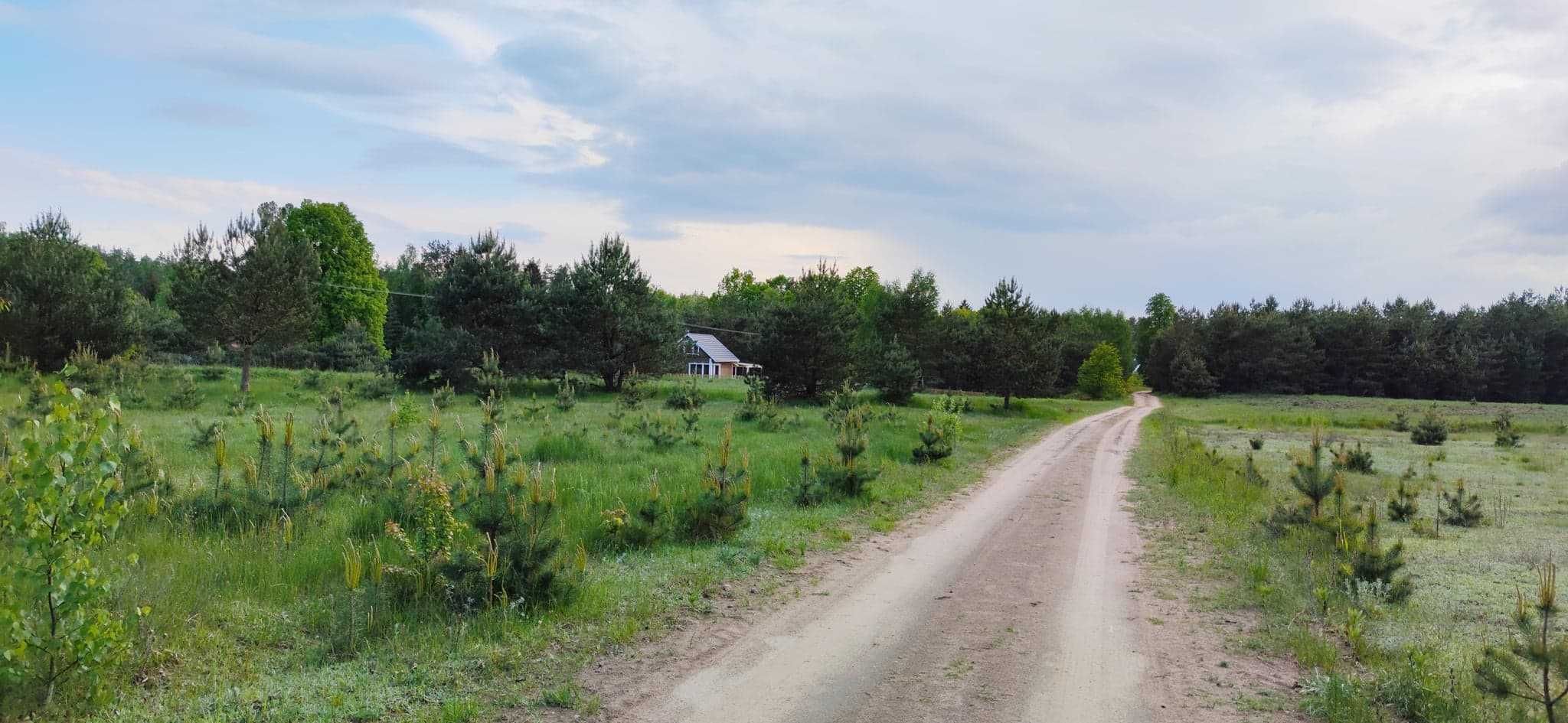 Domek w lesie nad rzeką Marycha,  Zelwa,  Podlasie