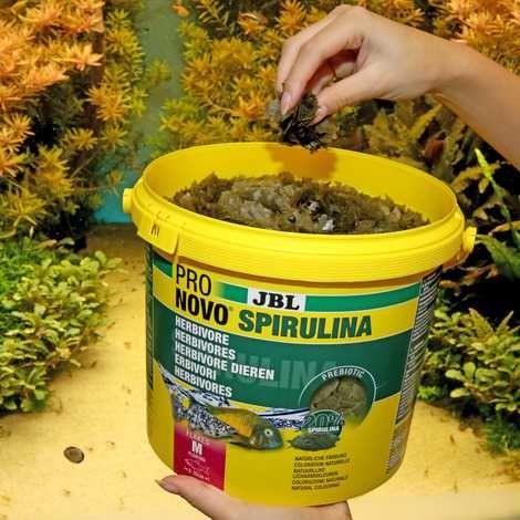 JBL Pronovo Spirulina Flakes M 1000ml - 160g pokarm Malawi Tanganika