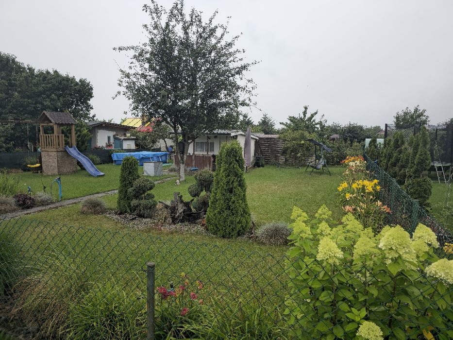 Ogródek działkowy Rod Oaza około 3 ary