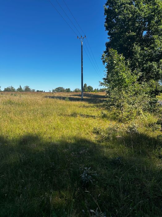 Działka rolna 3 Ha pod dzierżawę