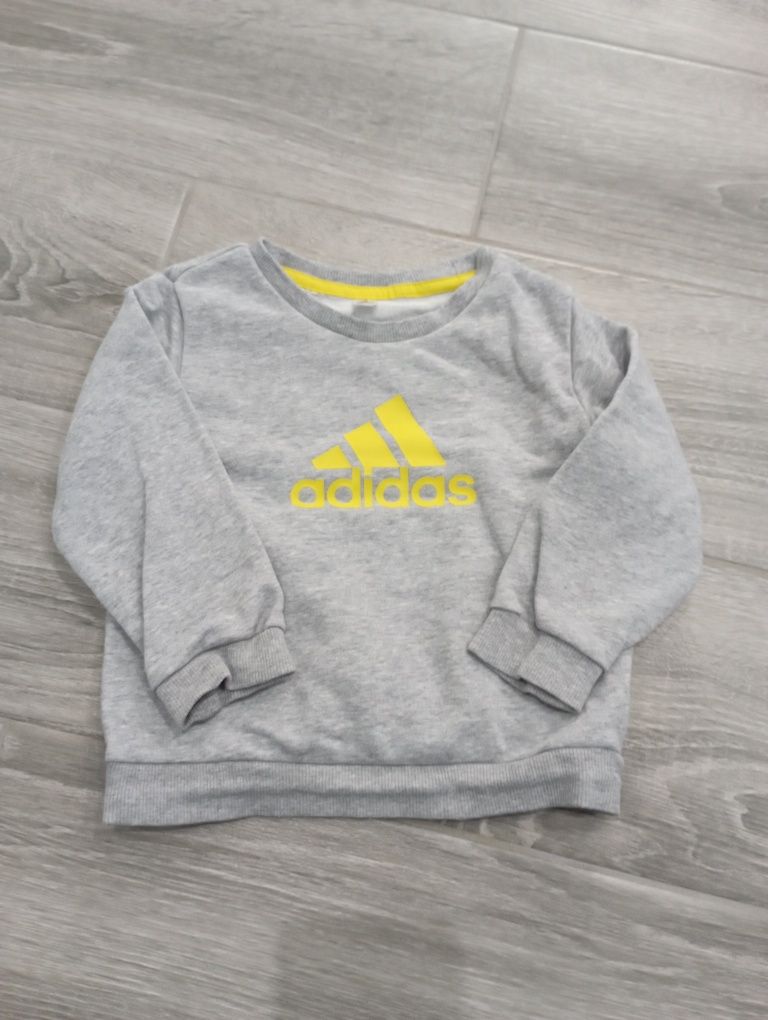 Bluza Adidas  86 92  18-24 miesiące