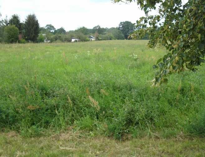 Wrocław wynajem działki Kwidzyńska 4,5 zł/m2 od 300 do 7000m2