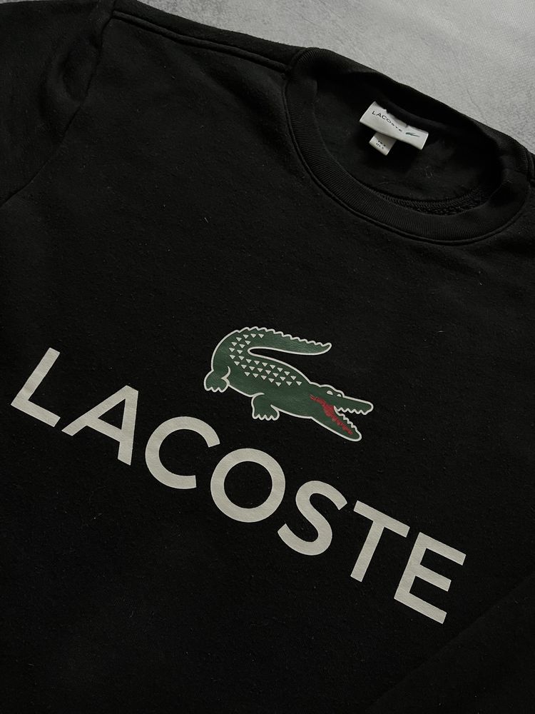 Світшот Lacoste ( м )