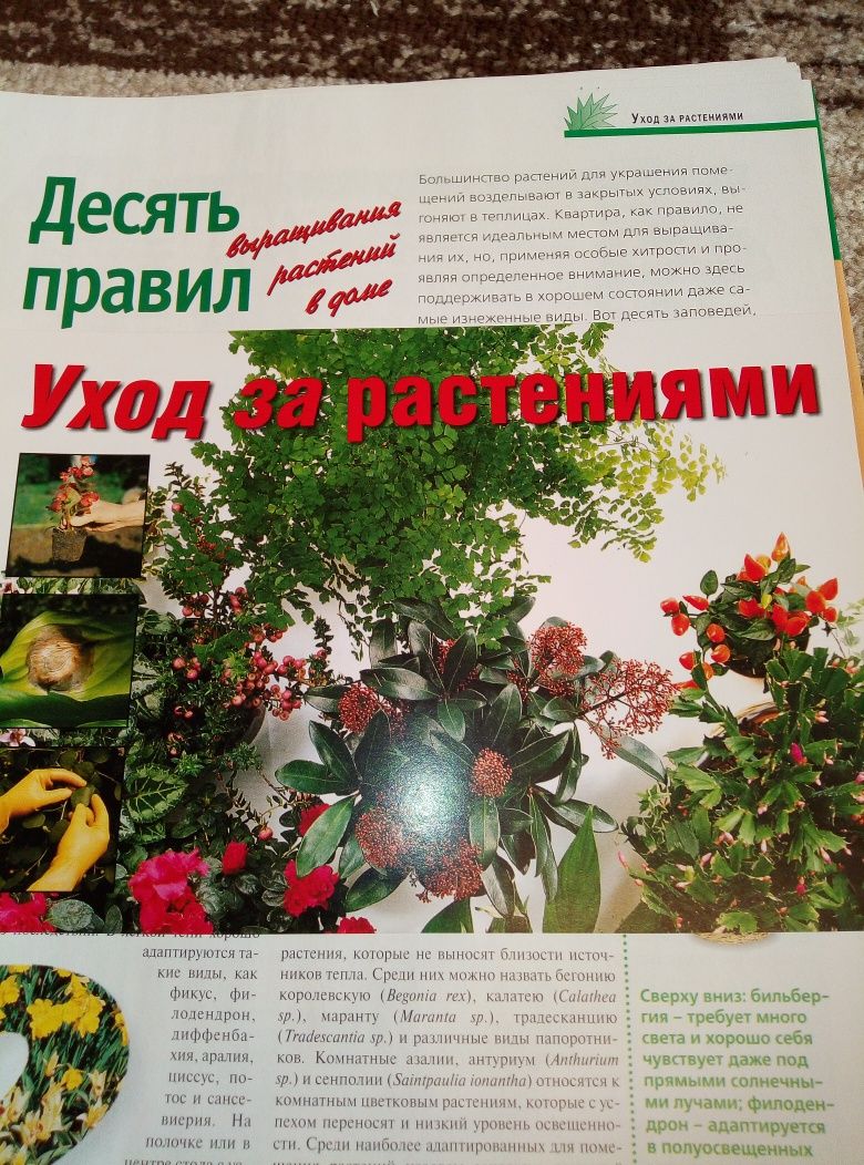 Сборник журналов Комнатные и садовые растения. Состоит из 3 папок.