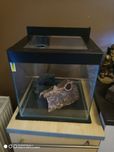 Akwarium kostka 30l krewetkarium